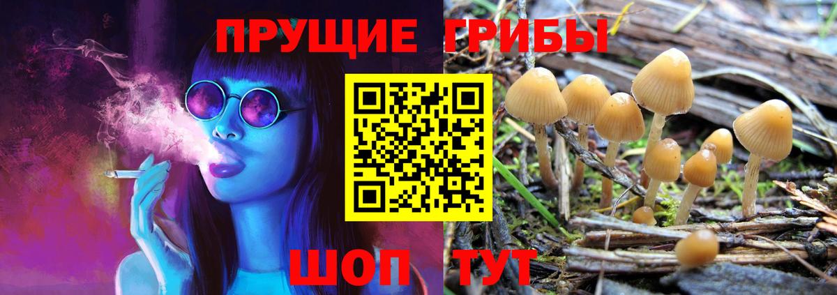 Псилоцибиновые грибы MAGIC MUSHROOMS Псков